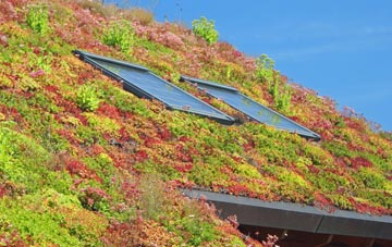 Crampmoor living roof systems